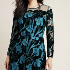 NEW! Eva Franco Juliet Floral Embroidered Velvet 8